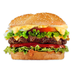 burgerdd.png